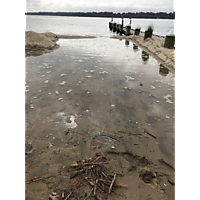 Gloucester King Tide image